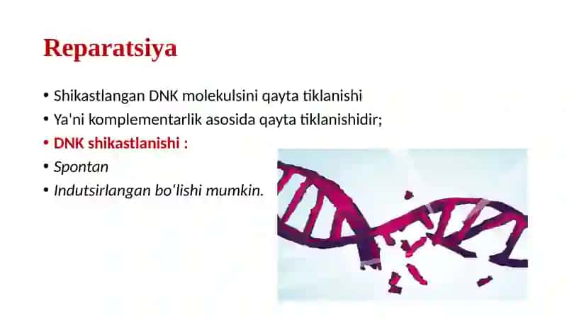 Mutatsiyalar 3