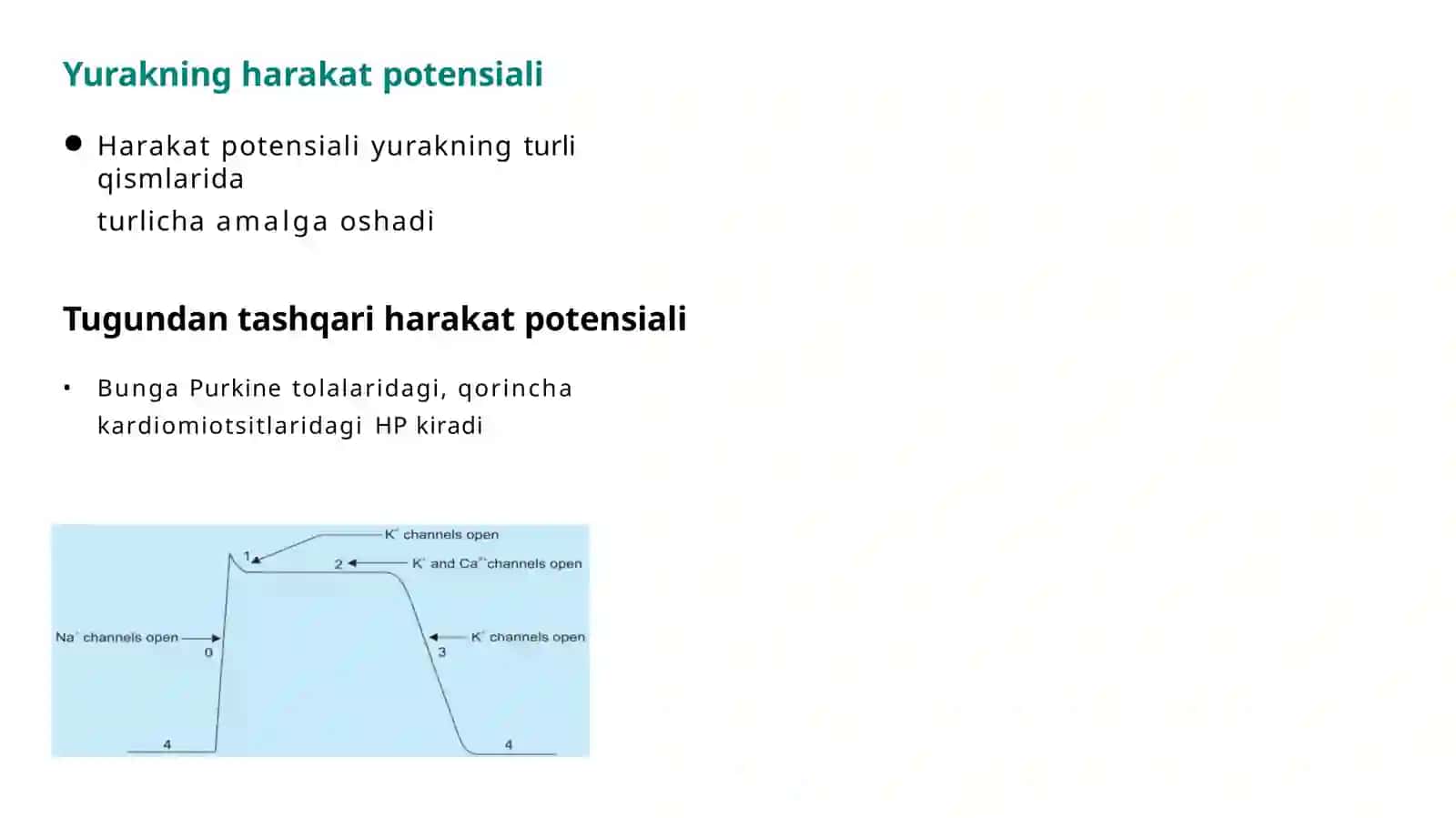 Antiaritmik dorilar 3