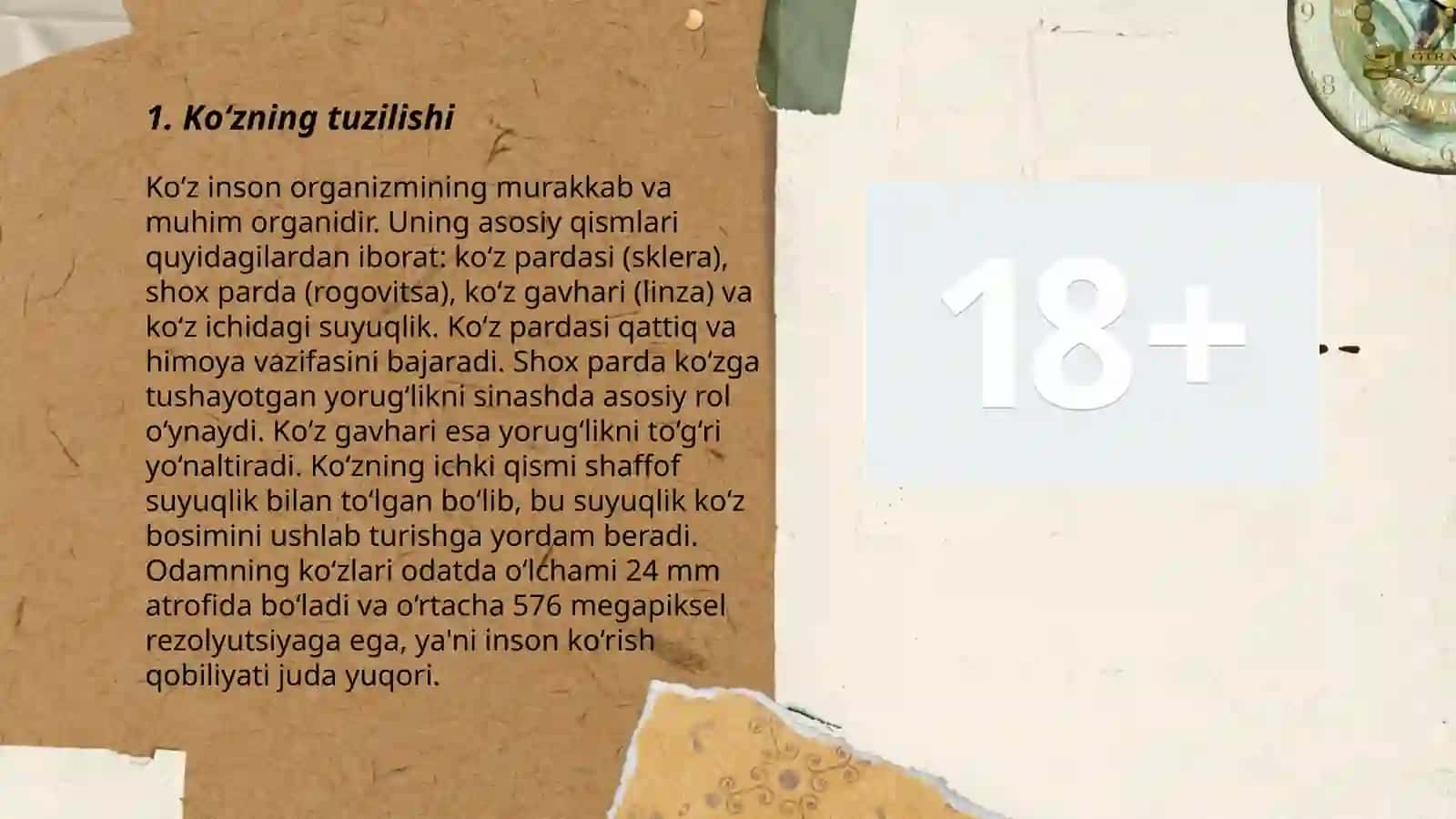 Ko‘z noyob mo‘jiza 3