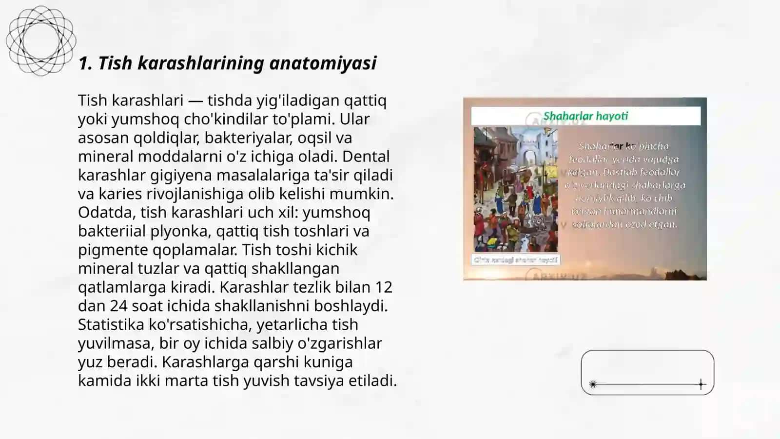 Tish karashlarining anatomiyasi 3