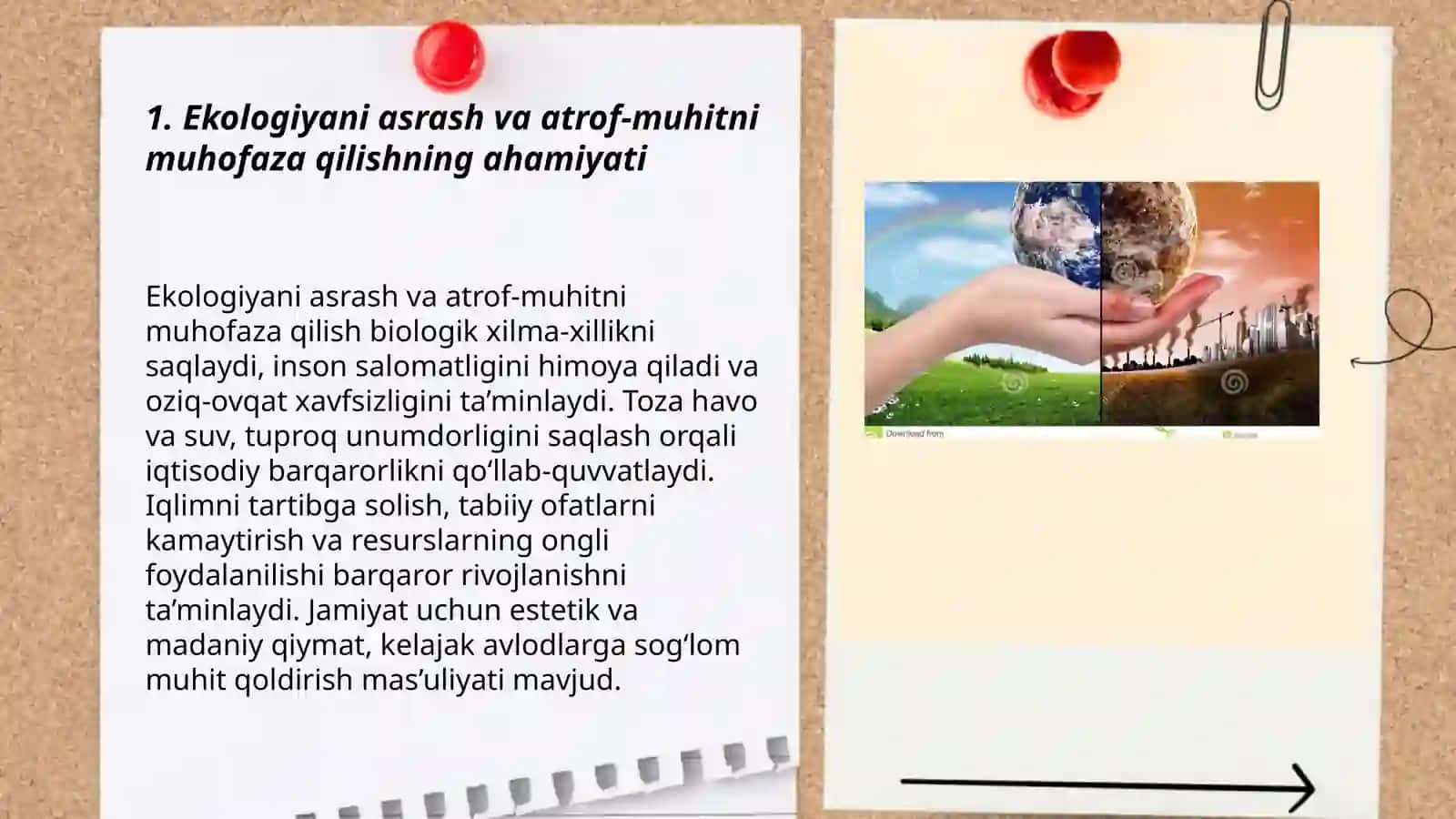 Ekologiyani asrash 3