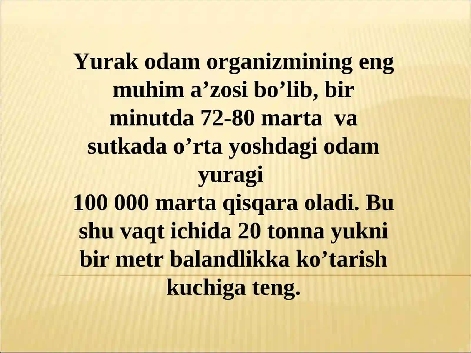 Yurak anatomiyasi 3