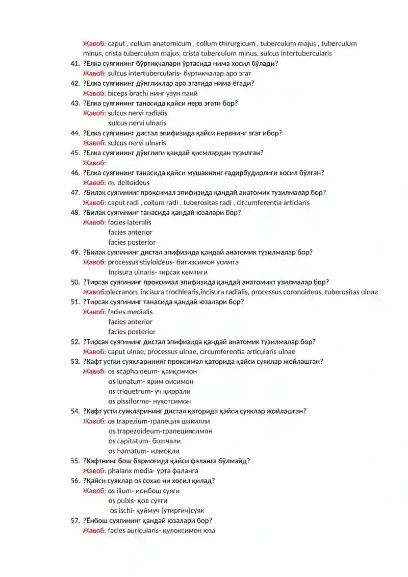 Умуртқа поғонаси 3
