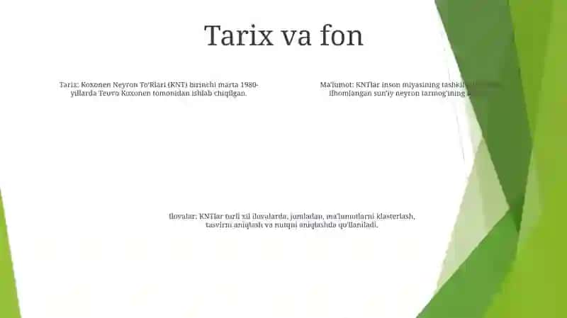 Koxonen Neyron ToʻRlari 3