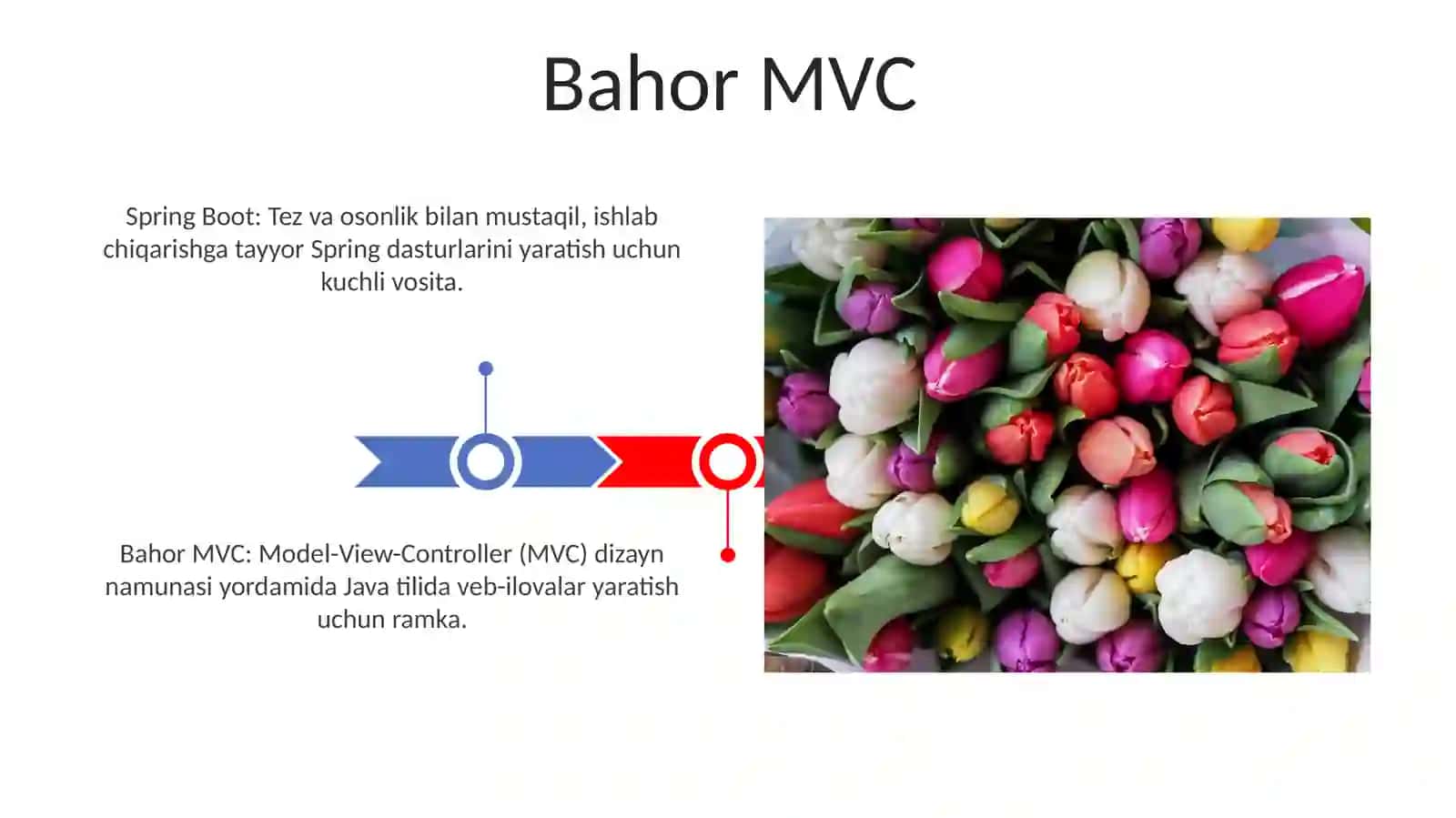 Bahor MVC 3