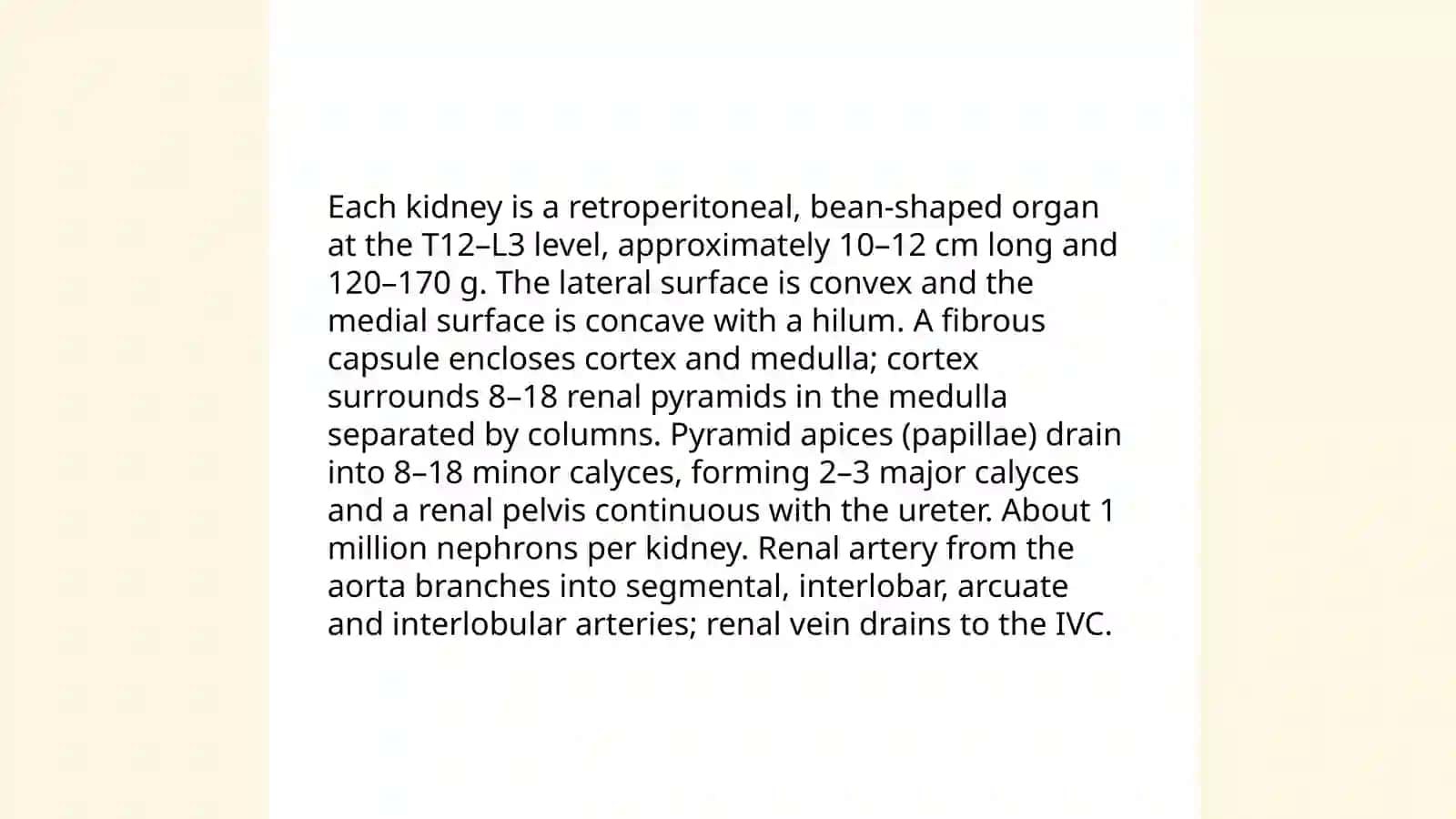 Urinary System 3