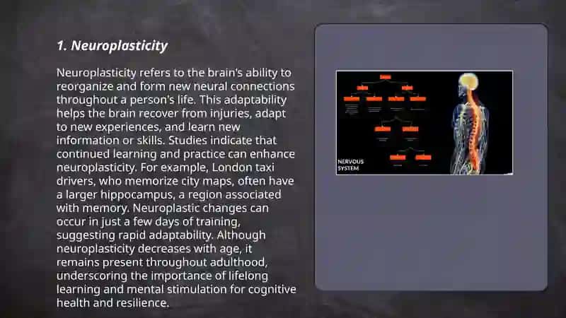 Brain and a nervous system 3