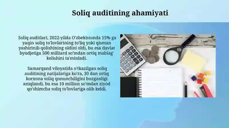 Soliq Auditlari 3