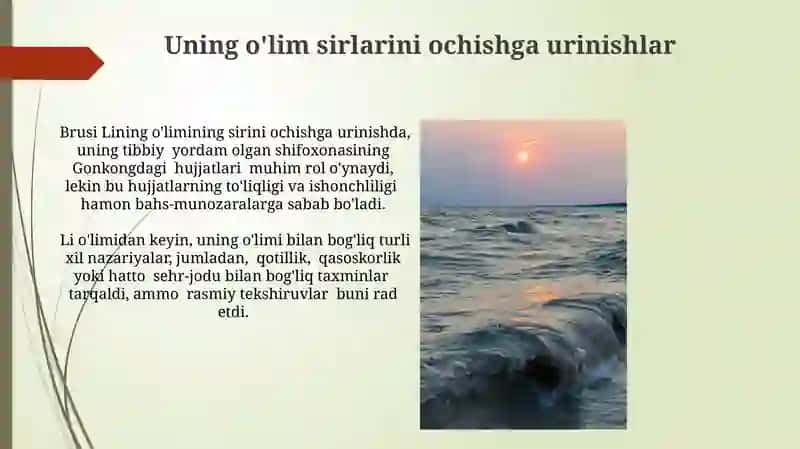 Brus Li 3