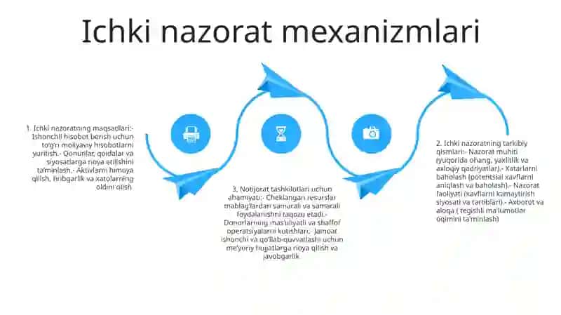 Ichki audit funktsiyasi 3