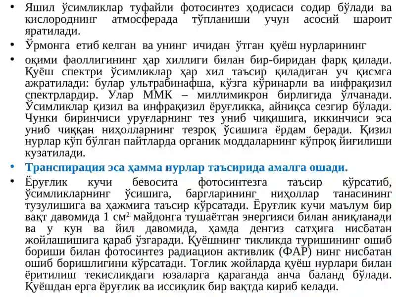 Ўрмон ва ёруғлик 3