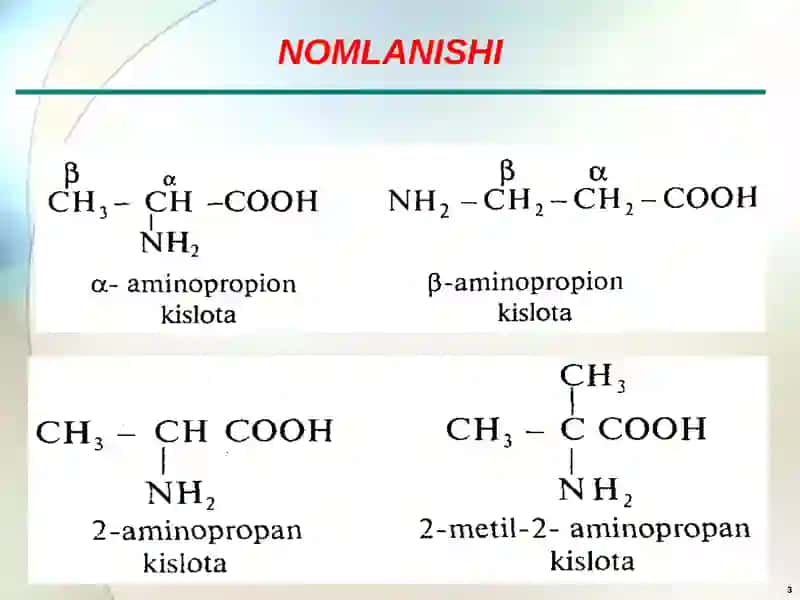 AMINO KISLOTALAR 3