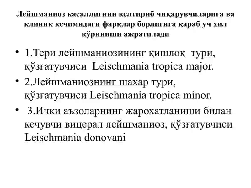 Лейшманиоз 3