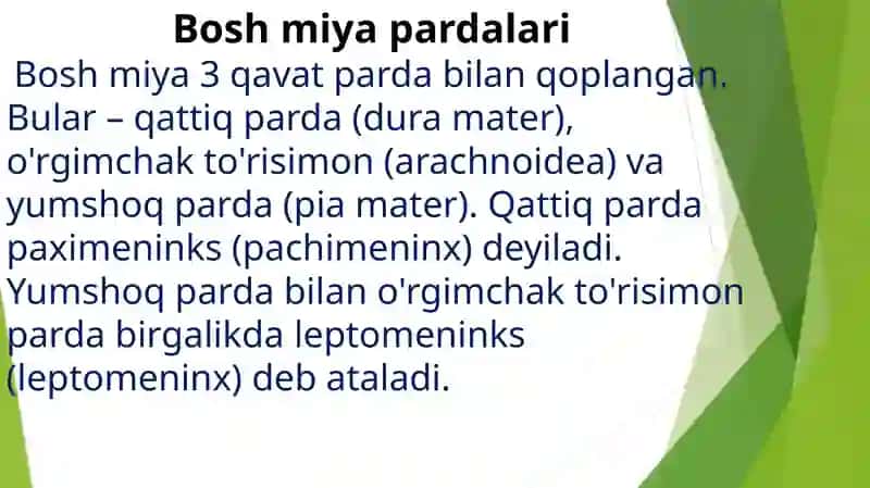 Bosh miya pardalarining vena bo’shliqlari va sisternalari 3