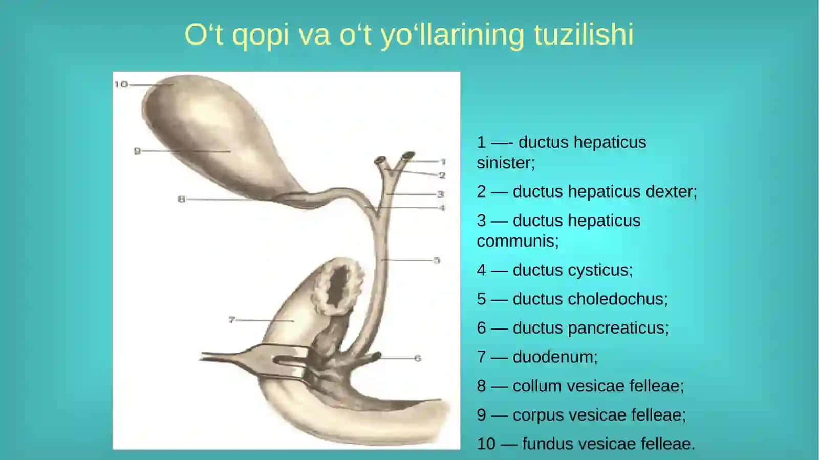 O‘TKIR VA SURUNKALI XOLETSISTIT 3