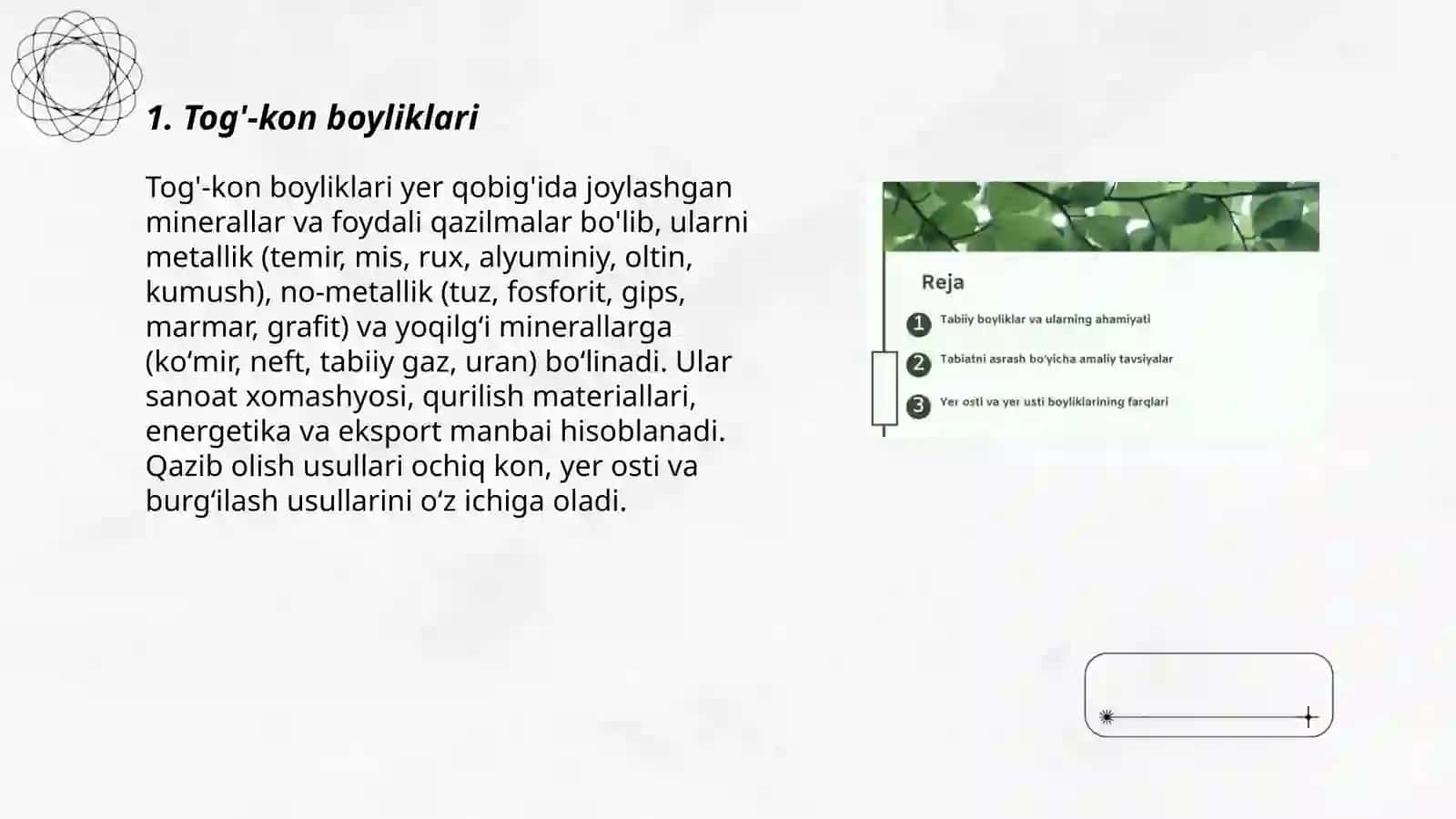 Tabiiy boyliklar 3