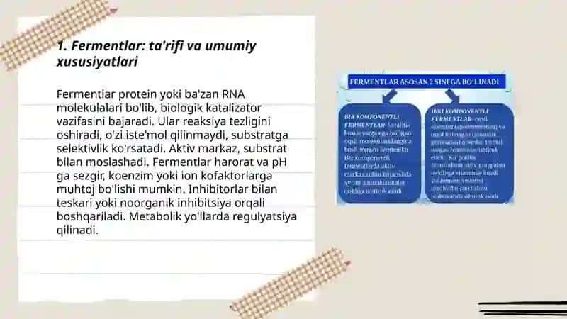 Fermentlar 3