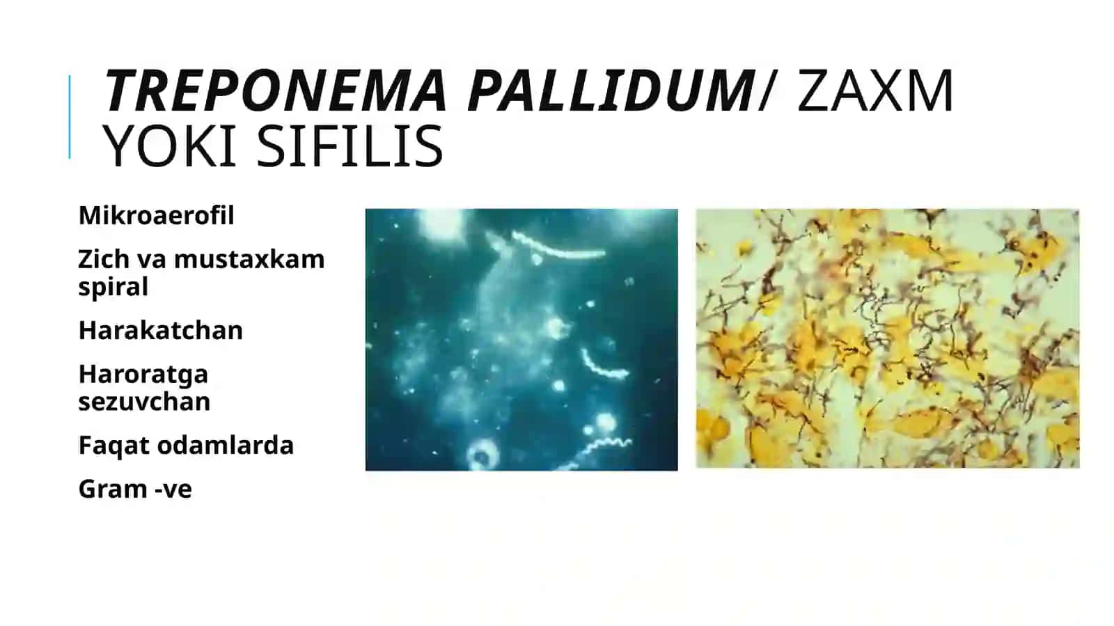 Spiroxetalar 3