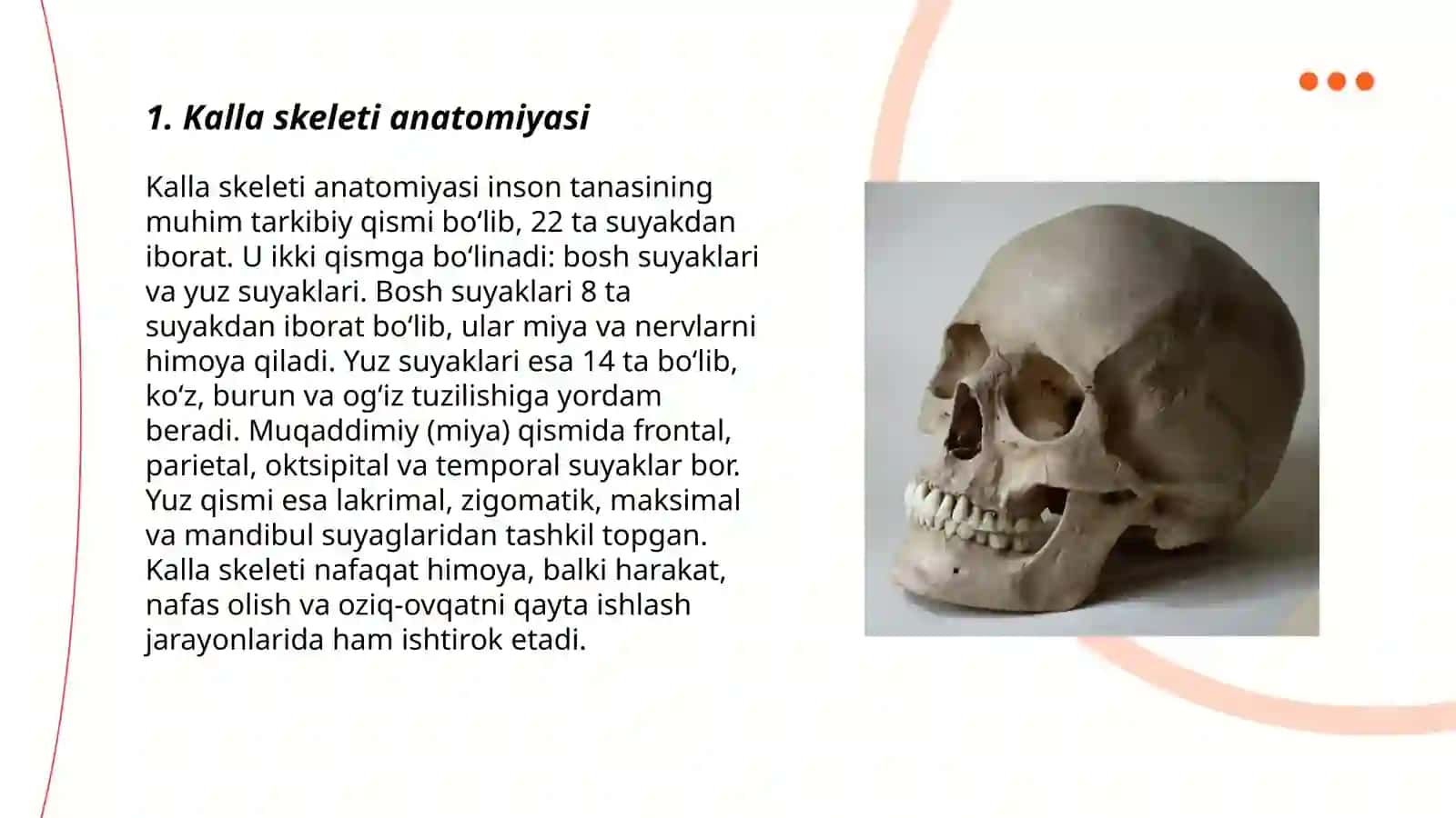 Kalla Skeleti 3