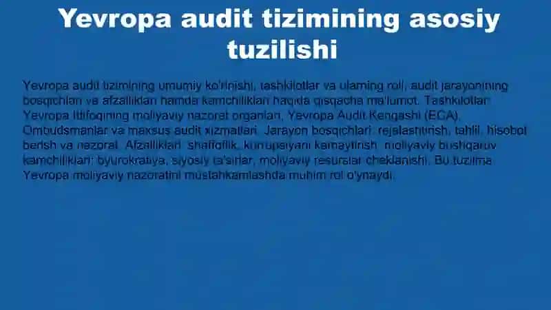 Yevropa audit tizimi 3