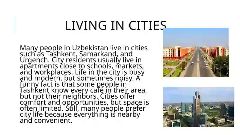 Somewhere to Live 3