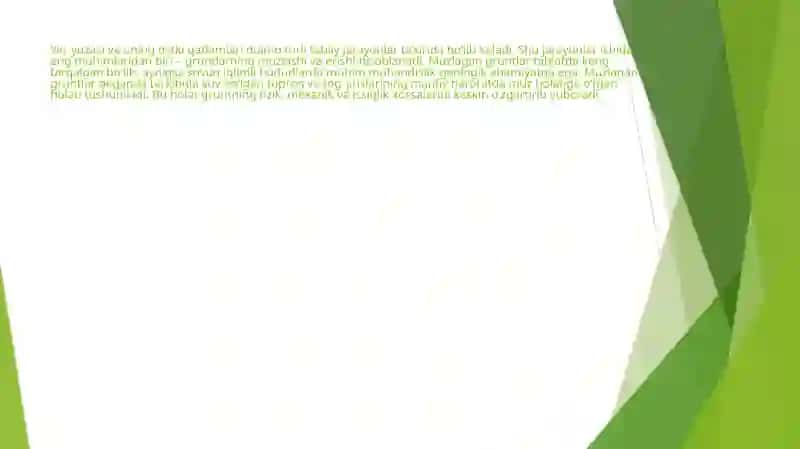MUZLAGAN GRUNTLAR VA ULARNING XOSSALARI 3