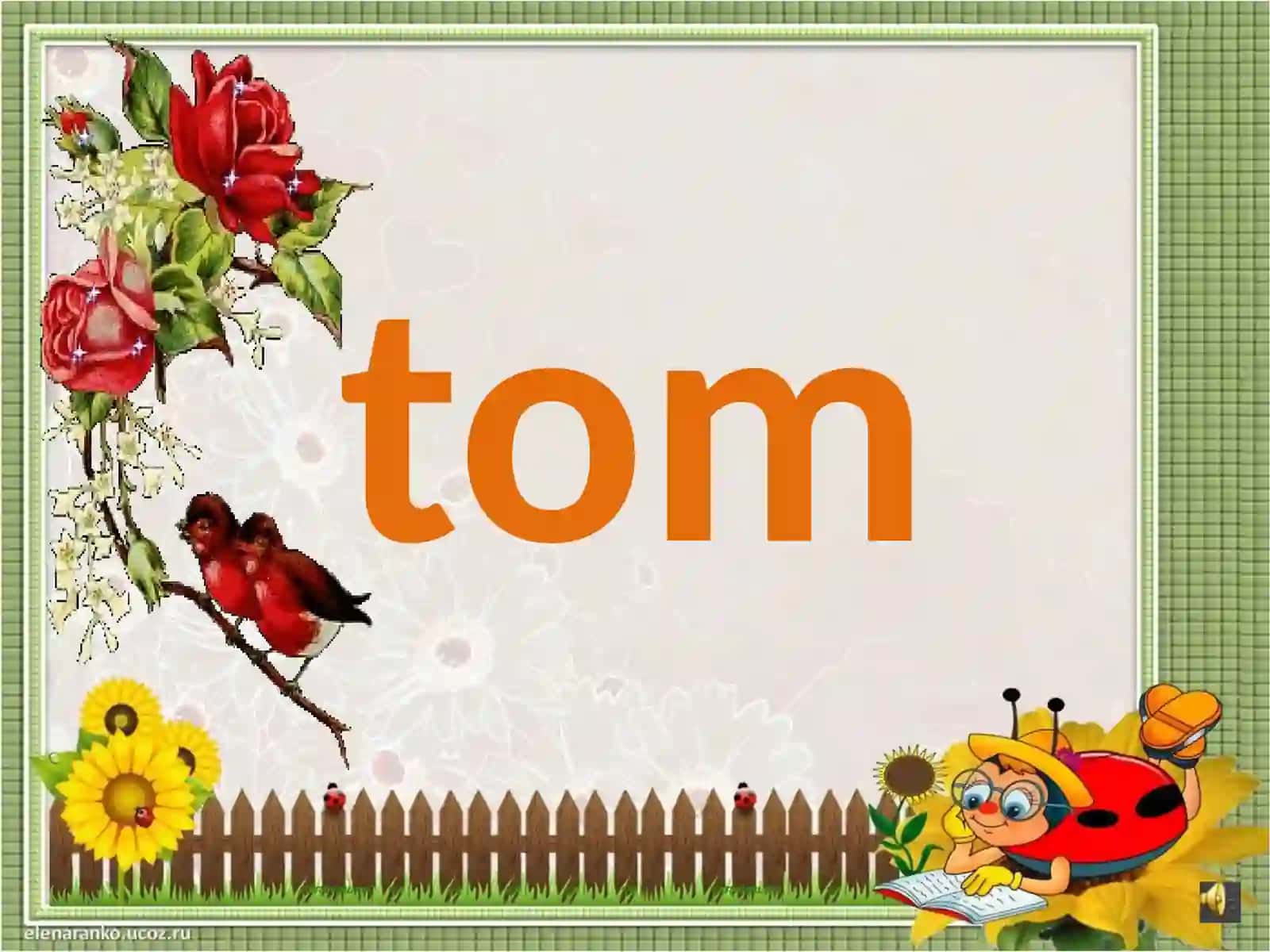 Tommit-ti 3