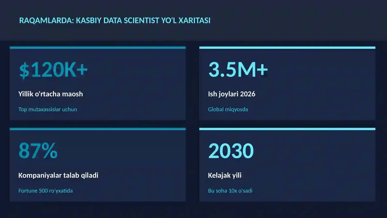 Kasbiy data scientist yo'l xaritasi 3