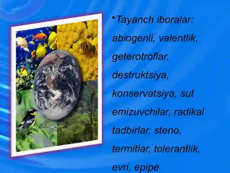 Ekologikomillar.Abiotikomillar 3