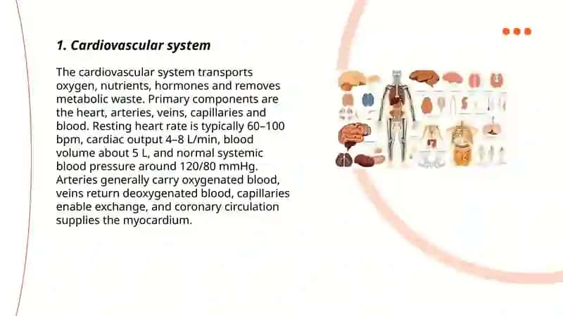 Organs and systems 3