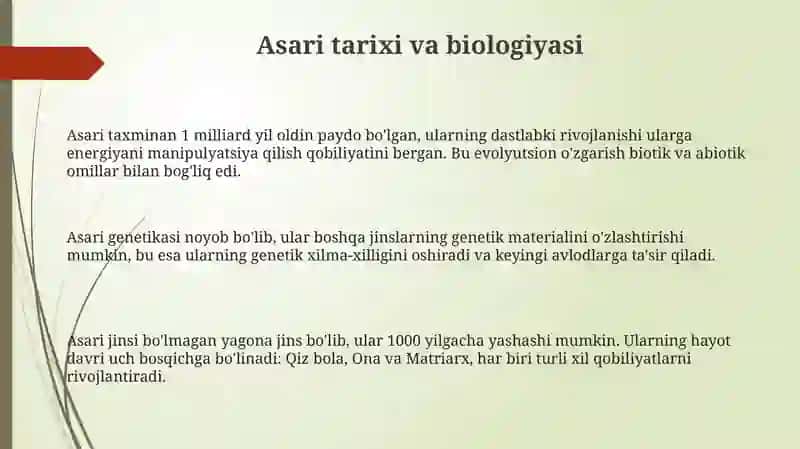 Me'mor asari 3