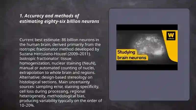 Synaptic connectivity in the human brain 3