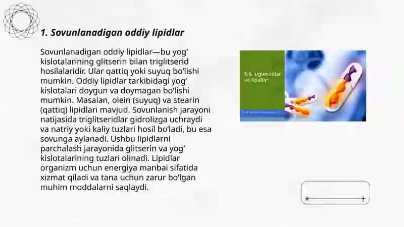 Lipidlar 3