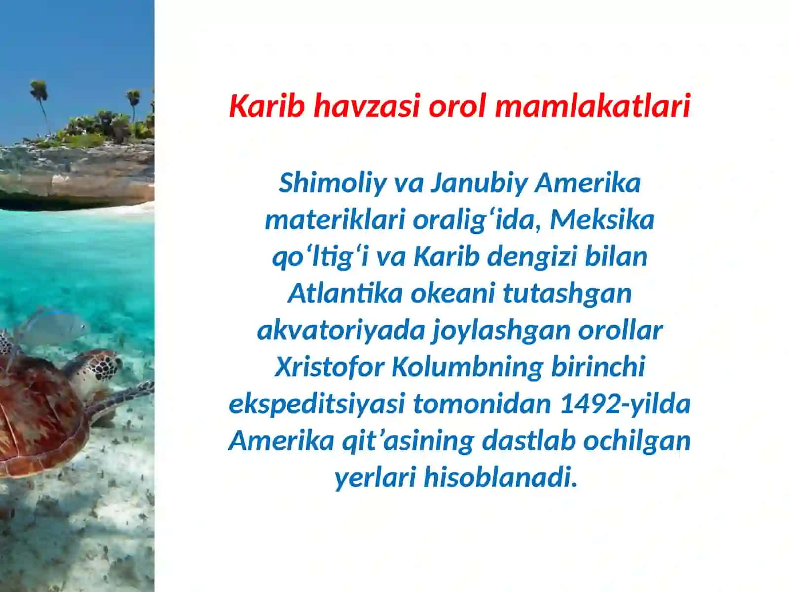 Karib havzasi orol mamlakatlari 3