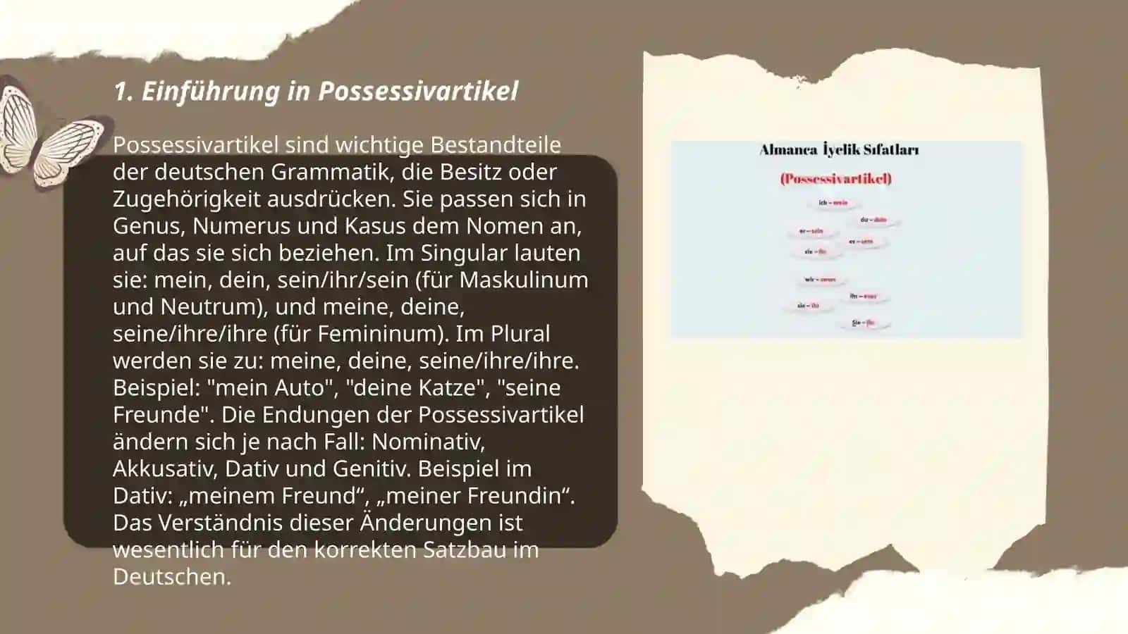 Einführung in Possessivartikel 3