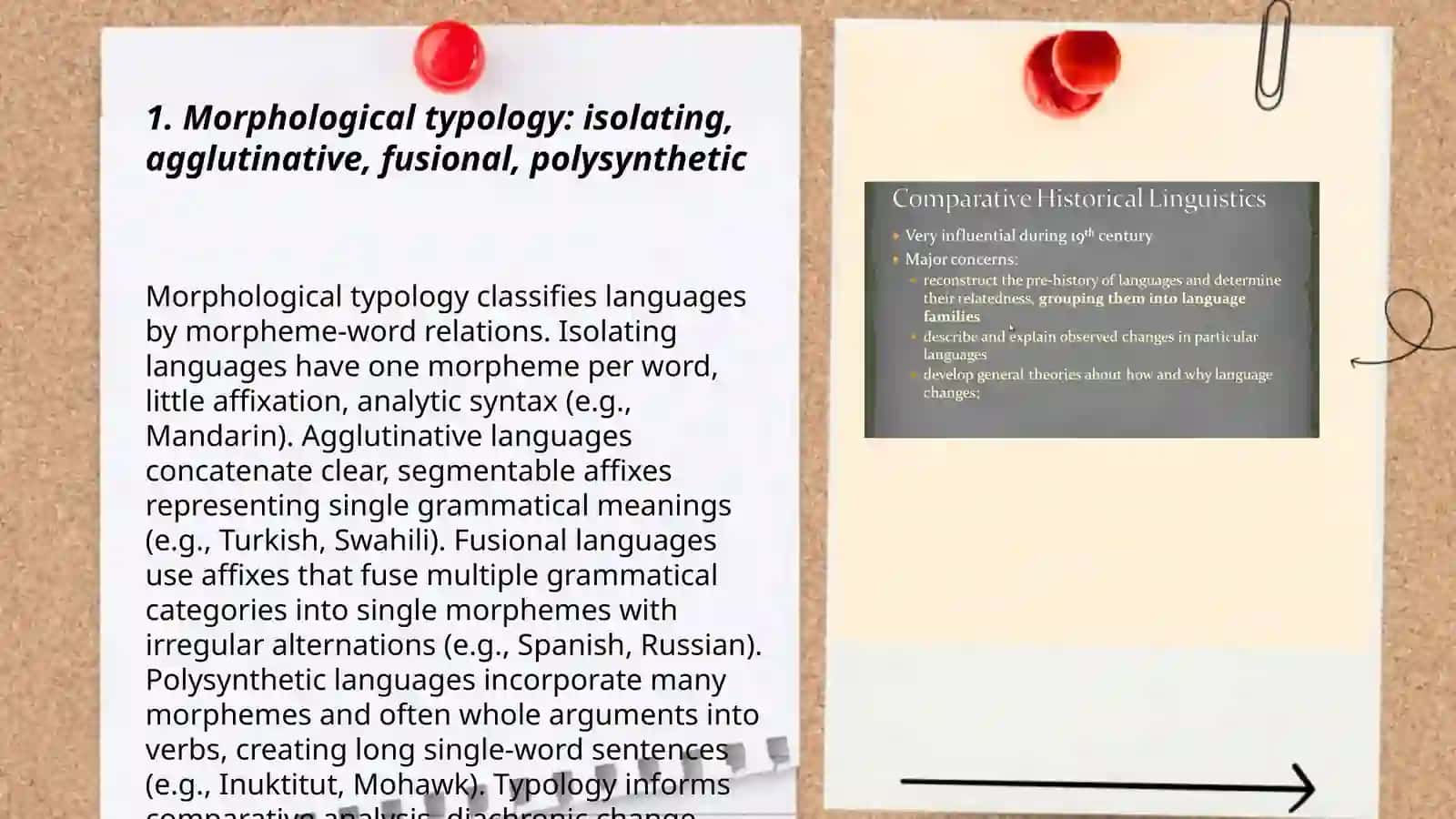 Comparative typology and methods of linguistic analysis 3