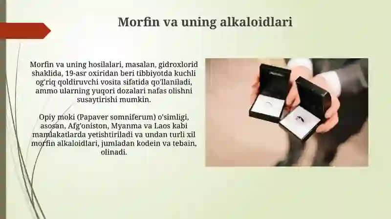 Morfin va uning alkaloidlari 3