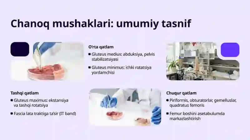 Chanoq va son mushaklari. Boldir va oyoq panjasi mushaklari. Oyoqning sinovial qinlari va ularning yoshga doir xususiyatlari 3