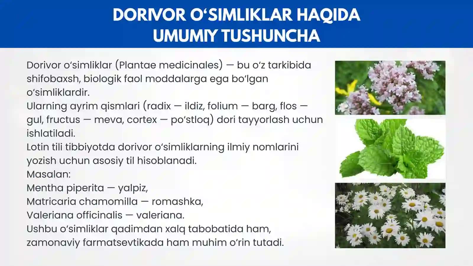 Dorivor oʻsimliklar 3
