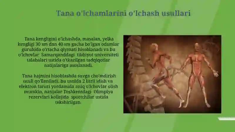 Odam tanasining oʻlchamtavsifi 3
