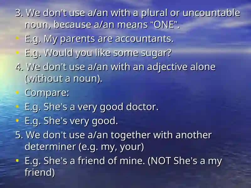 Articles (a, an) 3