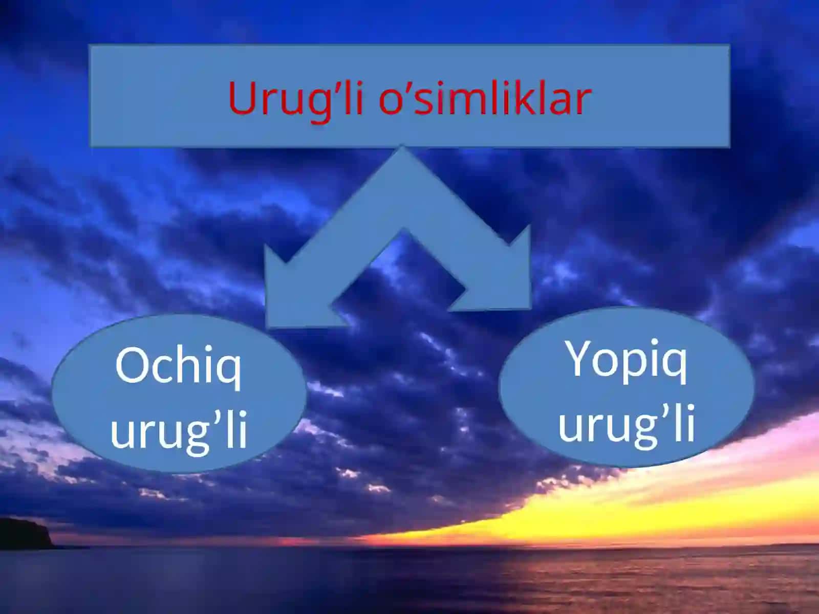 Urug’ 3