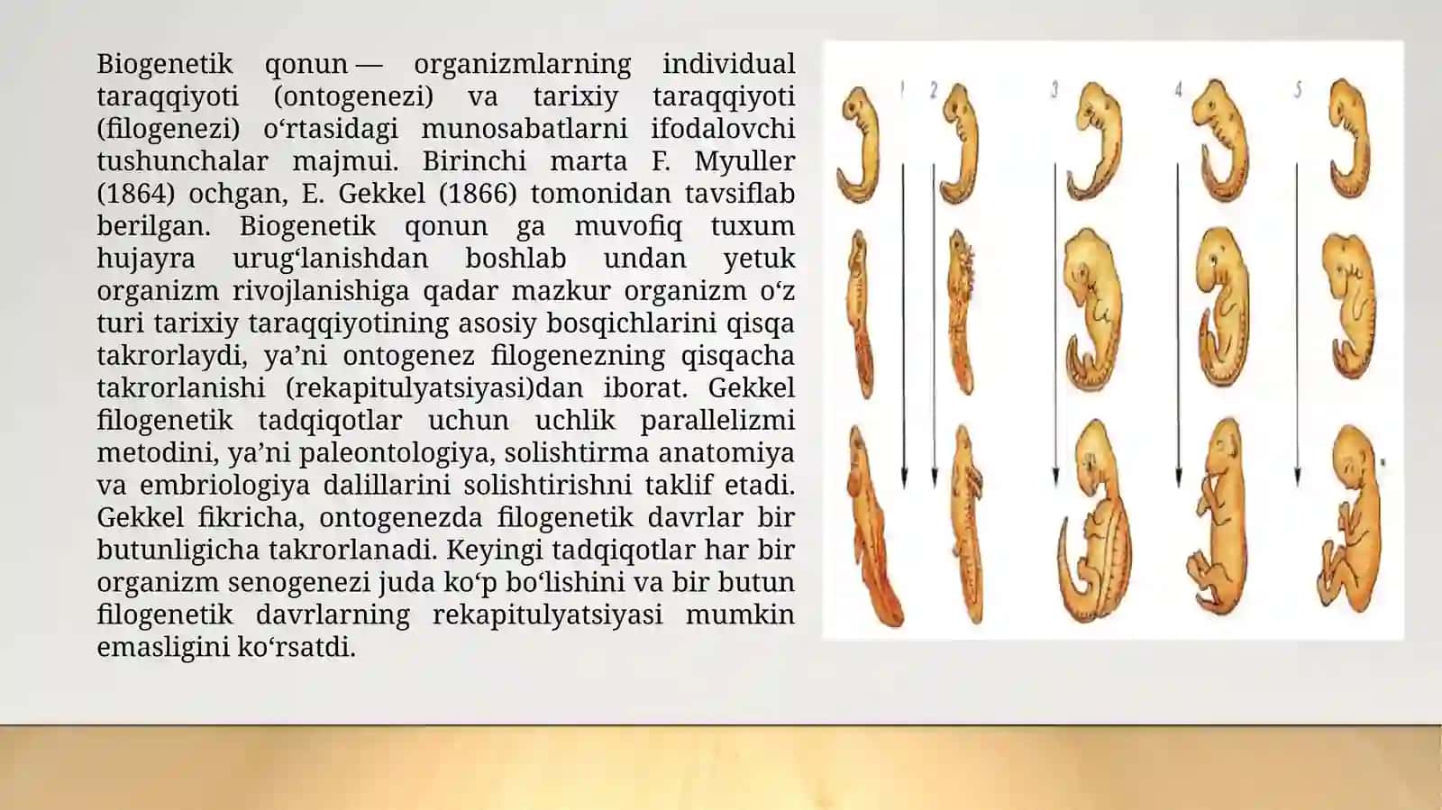 O’quv faoliyati nazariyalari 3