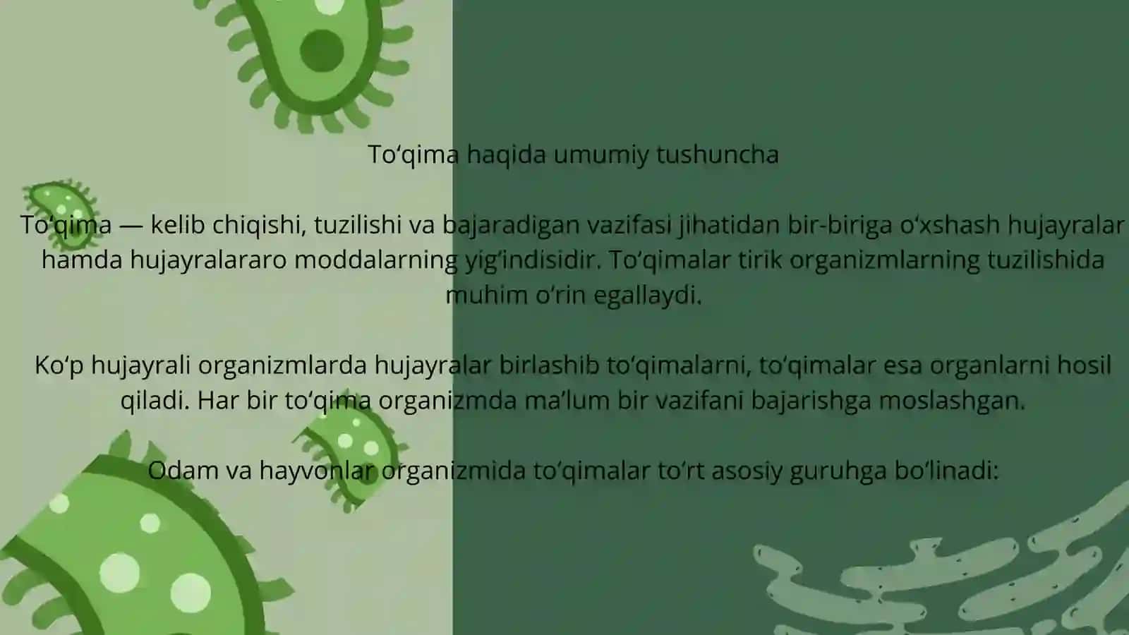 [To’qima] 3