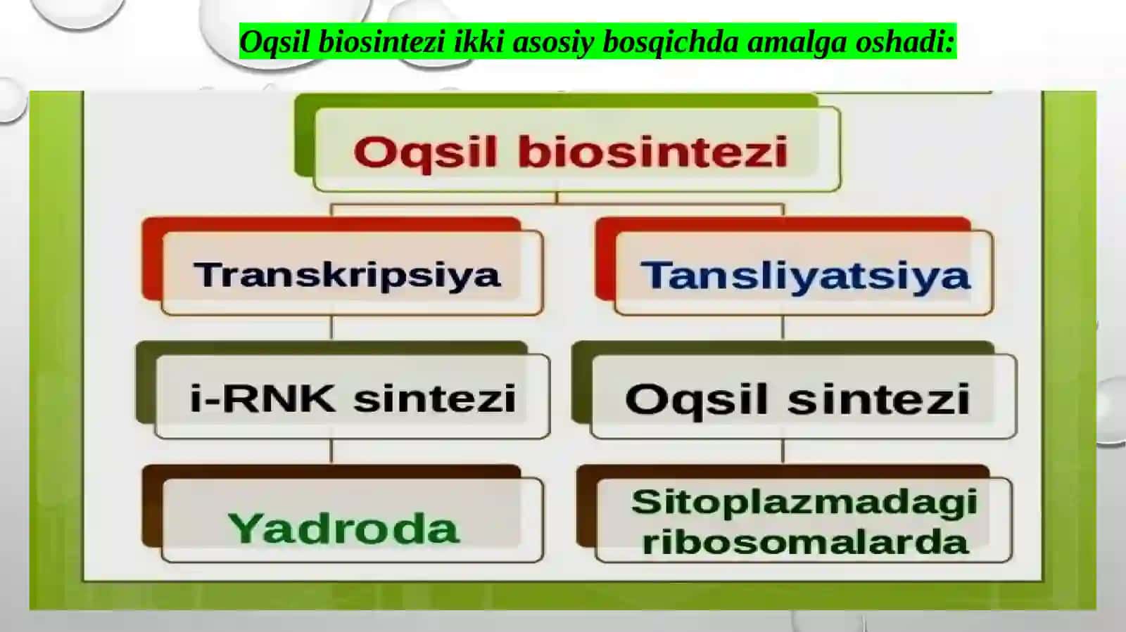 Oqsil biosintezi tiingibitorlari 3