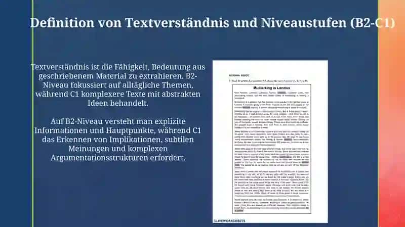 Lesekompetenz B2 - C1 Niveau 3