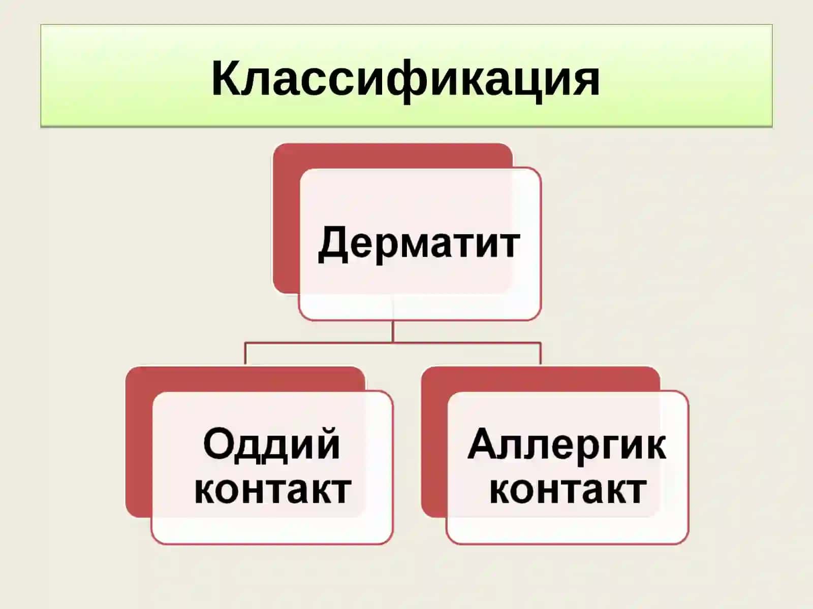 Дерматит. Токсикодермия 3