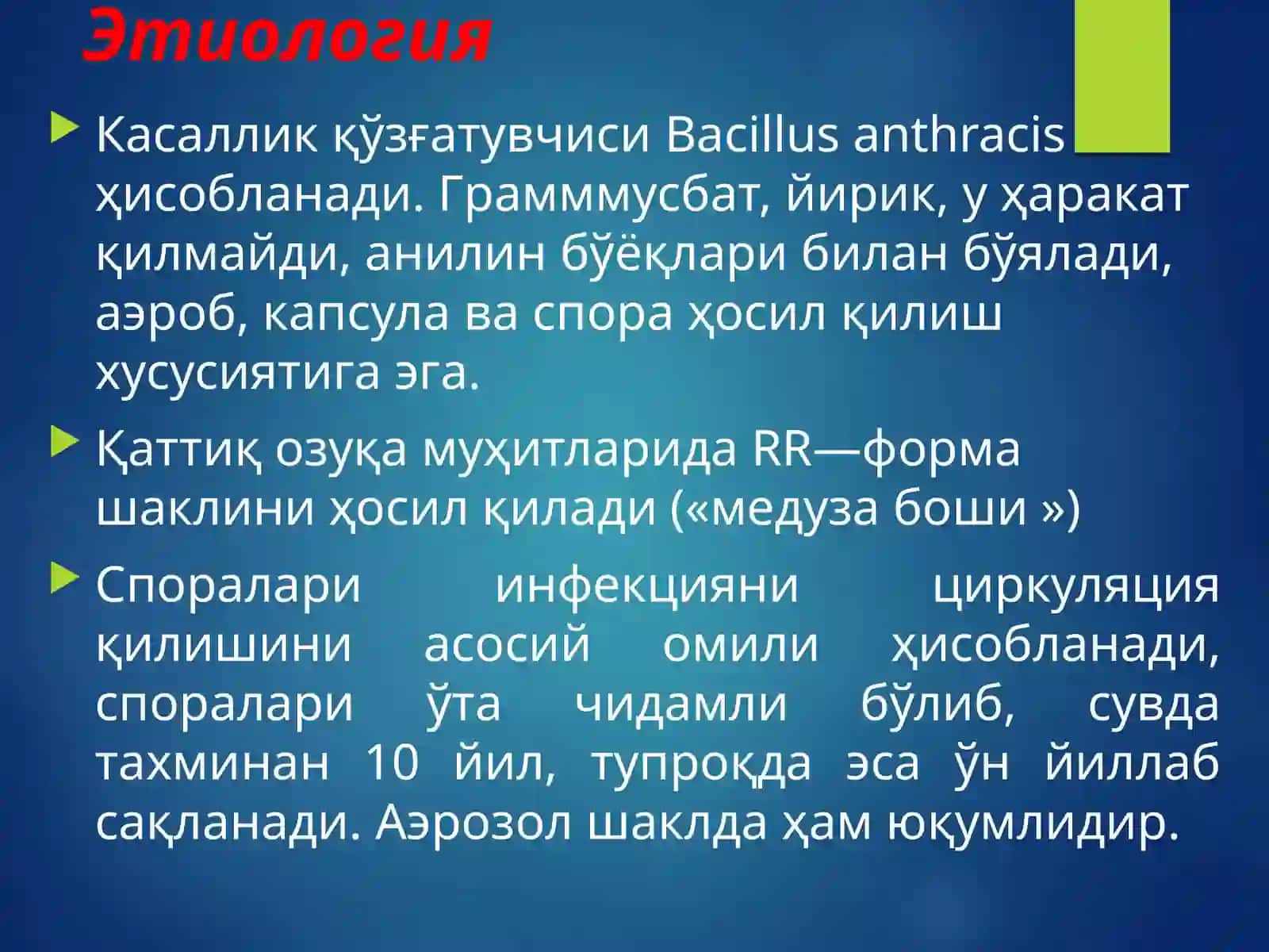 Куйдирги 3