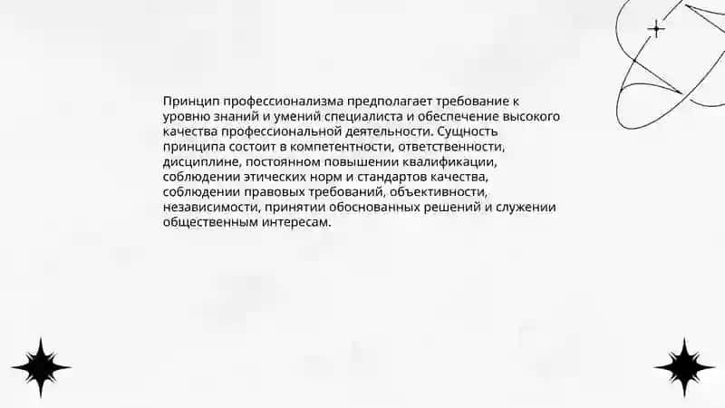 Принцип профессионализма 3