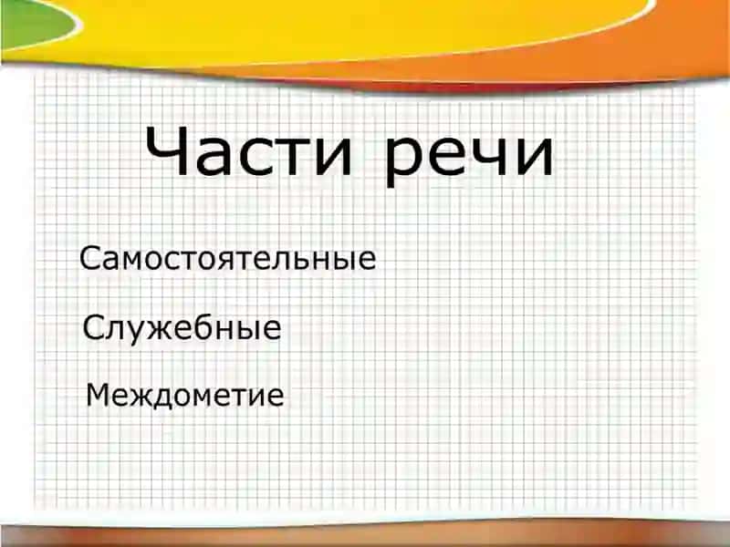 Морфология 3